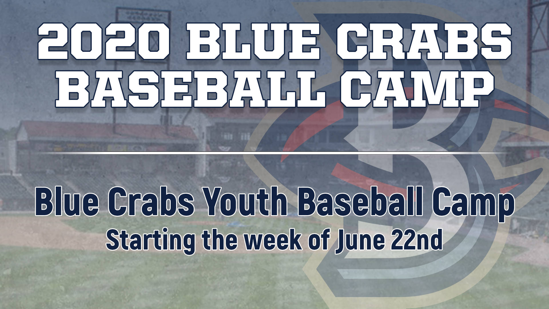 Blue Crabs Announce Youth Baseball Day Camp